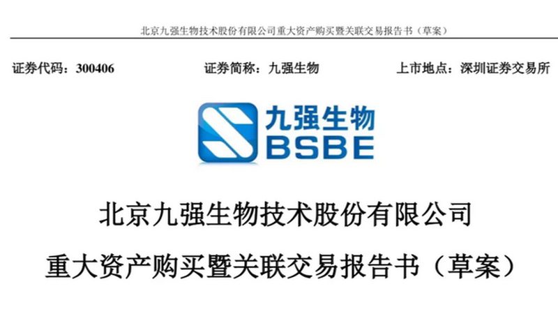 CDMO项目评估：如何从实战案例中洞察关键要素