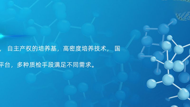 CDMO定制研发，生物药企的“隐形基建”怎么选