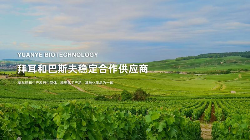 CDMO定制合成的成本构成揭秘