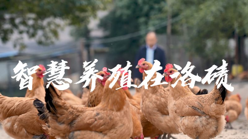PCR检测标本采集方法：精准防控的关键一步**