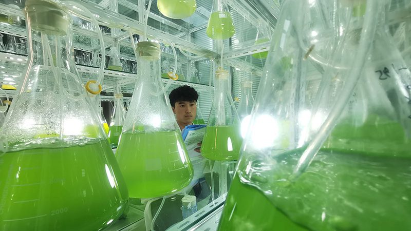 CDMO工艺流程设计标准：揭秘生物制药的“幕后英雄